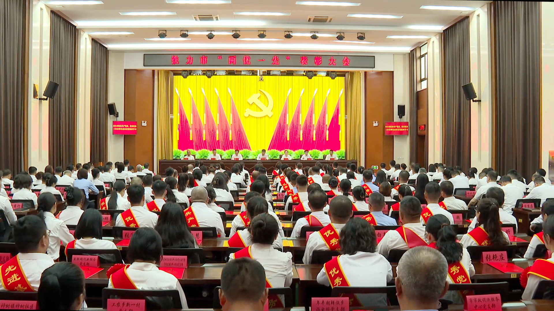 我市召开“两优一先”表彰大会