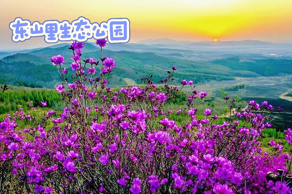 闯进绿野仙踪，邂逅自然奇趣。“五一”邀您来打卡！