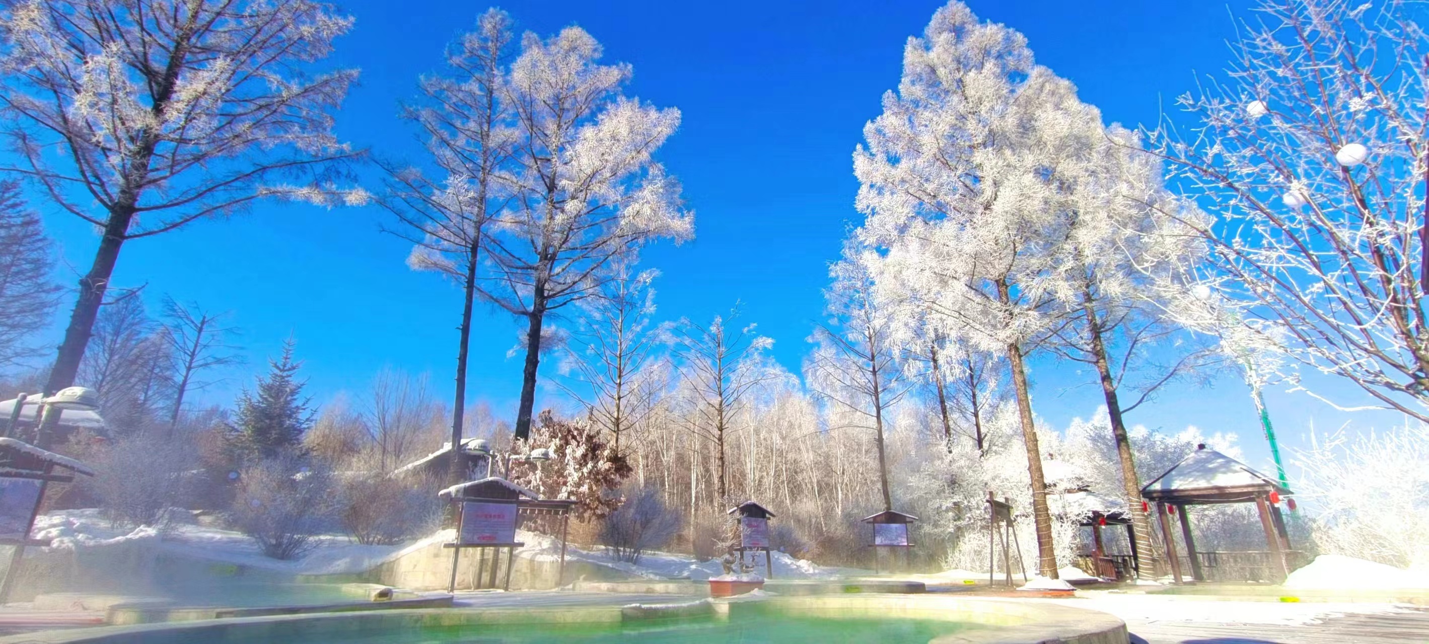 都伊你·铁力冬日出行指南 如何预约？看这篇就够