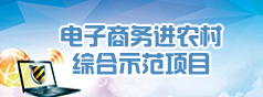 电子商务进农村综合示范项目